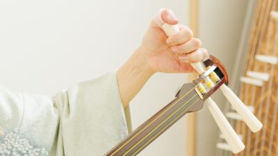 三味線弦張り方と糸の種類別の選び方ガイド