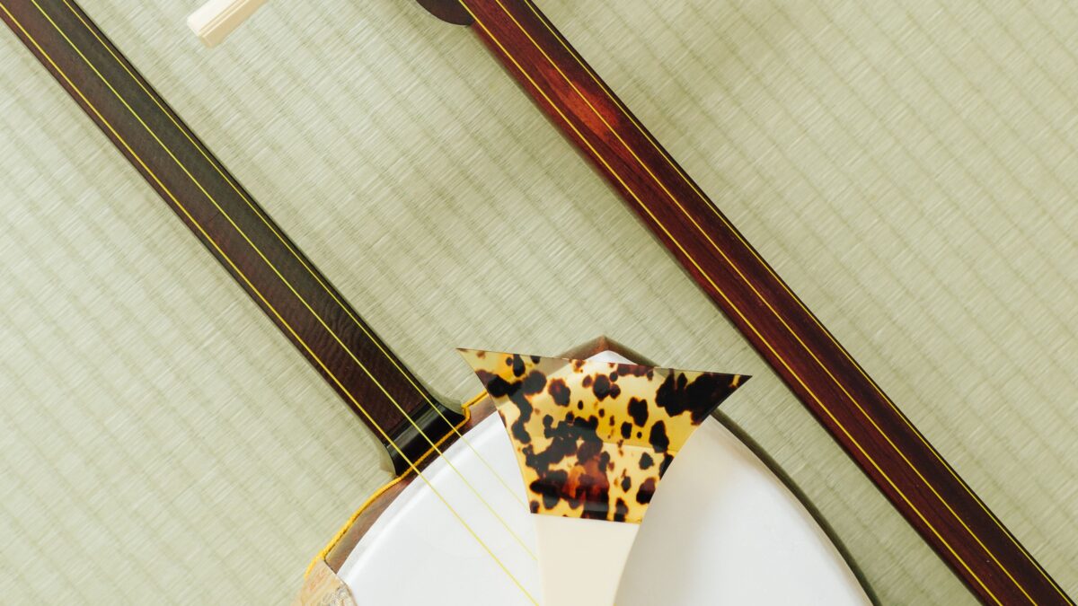 【三味線初心者セット】安いだけで選ばないための完全ガイド